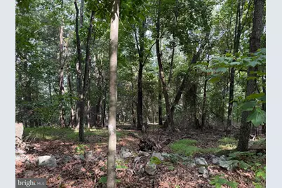 584 Berry Mountain Lane, Mathias, WV 26812 - Photo 7