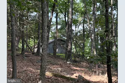 584 Berry Mountain Lane, Mathias, WV 26812 - Photo 3