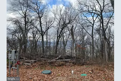 High Knob, Old Fields, WV 26845 - Photo 1