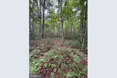 Lot 8 2Ac Grizzly Road, Mathias, WV 26812 - Photo 13