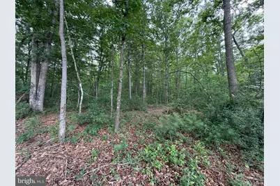 Lot 8 2Ac Grizzly Road, Mathias, WV 26812 - Photo 7