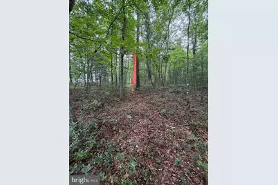 Lot 8 2Ac Grizzly Road, Mathias, WV 26812 - Photo 17