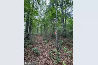 Lot 8 2Ac Grizzly Road, Mathias, WV 26812 - Photo 11