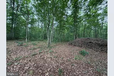 Lot 8 2Ac Grizzly Road, Mathias, WV 26812 - Photo 5