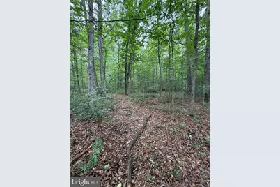 Lot 8 2Ac Grizzly Road, Mathias, WV 26812 - Photo 9