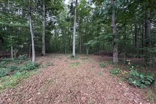 Lot 8 2Ac Grizzly Rd, Mathias, WV 26812 - Photo 1