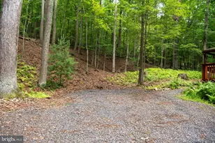 452 Wild Turkey Ridge, Lost City, WV 26810 - Photo 41
