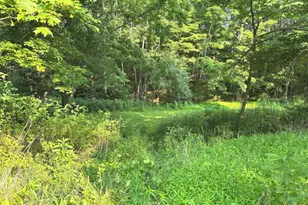 2600 Middle Cv Rd, Mathias, WV 26812 - Photo 27