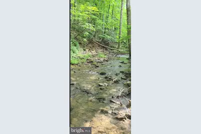 2600 Middle Cove Road, Mathias, WV 26812 - Photo 29