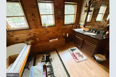 954 Rusty Lane, Mathias, WV 26812 - Photo 37