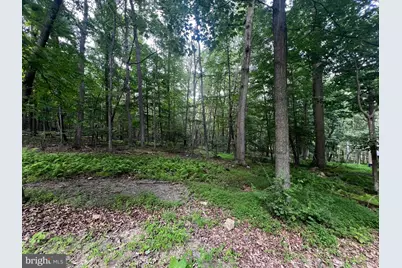336 Howard Delawder Lane, Mathias, WV 26812 - Photo 11