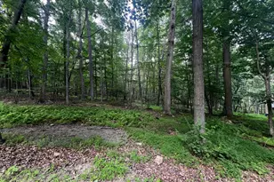 336 Howard Delawder Ln, Mathias, WV 26812 - Photo 11