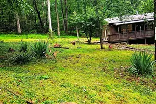 336 Howard Delawder Ln, Mathias, WV 26812 - Photo 49