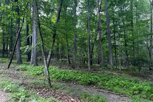 336 Howard Delawder Ln, Mathias, WV 26812 - Photo 9