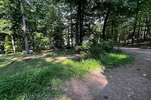 336 Howard Delawder Ln, Mathias, WV 26812 - Photo 5