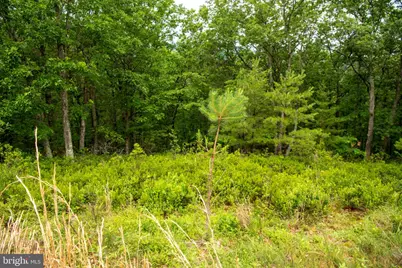 459 Kodiak Court, Baker, WV 26801 - Photo 111