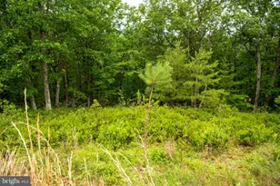 459 Kodiak Ct, Baker, WV 26801 - Photo 111