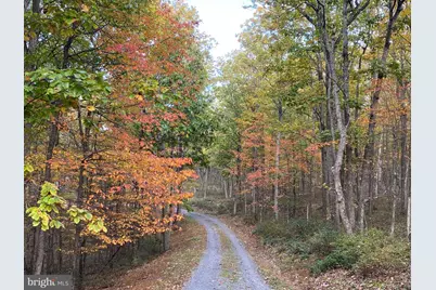 459 Kodiak Court, Baker, WV 26801 - Photo 123