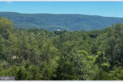 2066 Dispanet Road, Mathias, WV 26812 - Photo 93