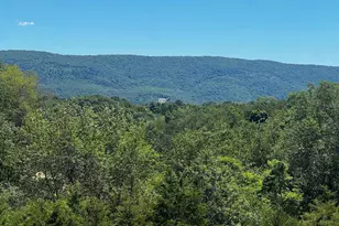 2066 Dispanet Rd, Mathias, WV 26812 - Photo 93