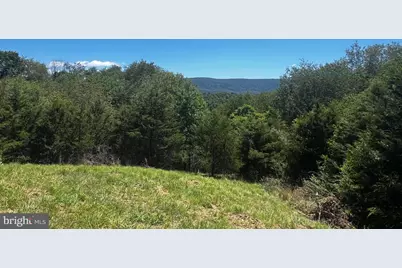 2066 Dispanet Road, Mathias, WV 26812 - Photo 101