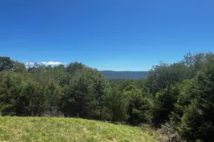 2066 Dispanet Rd, Mathias, WV 26812 - Photo 101
