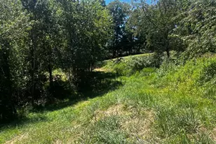 2066 Dispanet Rd, Mathias, WV 26812 - Photo 99