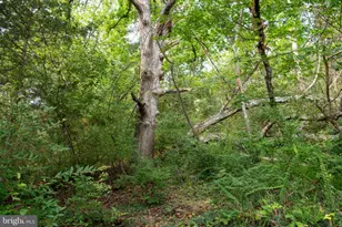 78 Vly Vw Rd, Lost City, WV 26810 - Photo 55