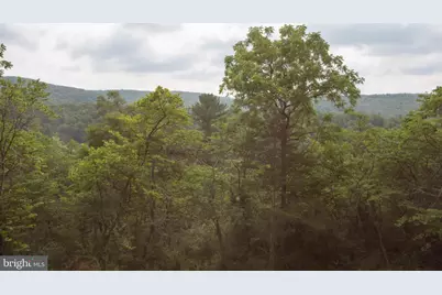 78 Valley View Road, Lost City, WV 26810 - Photo 51