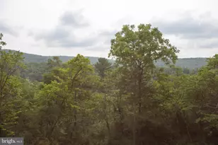 78 Vly Vw Rd, Lost City, WV 26810 - Photo 51