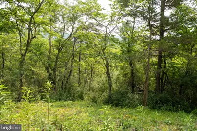 78 Valley View Road, Lost City, WV 26810 - Photo 57