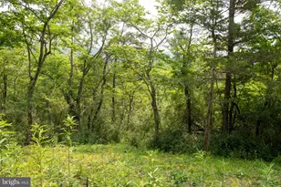 78 Vly Vw Rd, Lost City, WV 26810 - Photo 57