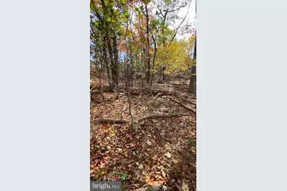 Lot 347 South Branch Mountain, Moorefield, WV 26836 - Photo 25