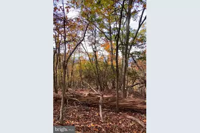 Lot 347 South Branch Mountain, Moorefield, WV 26836 - Photo 23
