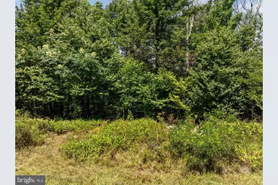 Lot 347 South Branch Mountain, Moorefield, WV 26836 - Photo 3