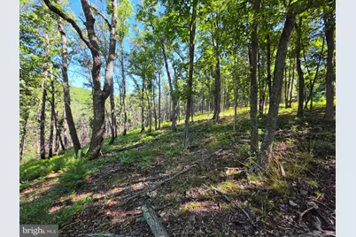 Lot 75 Hunters Ridge Trail, Moorefield, WV 26836 - Photo 15