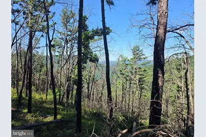 Lot 75 Hunters Ridge Trail, Moorefield, WV 26836 - Photo 5