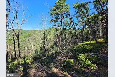 Lot 75 Hunters Ridge Trail, Moorefield, WV 26836 - Photo 35