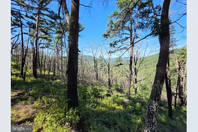 Lot 75 Hunters Ridge Trail, Moorefield, WV 26836 - Photo 1