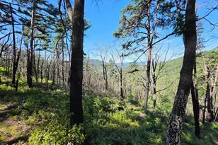 Lot 75 Hunters Ridge Trail, Moorefield, WV 26836 - Photo 1