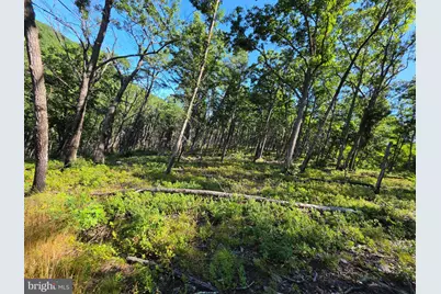 Lot 75 Hunters Ridge Trail, Moorefield, WV 26836 - Photo 13
