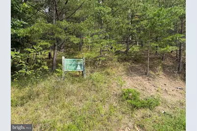 3.12 Ac Lot 2 Upper Skaggs Run Rd, Baker, WV 26801 - Photo 9