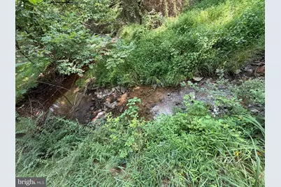 3.12 Ac Lot 2 Upper Skaggs Run Rd, Baker, WV 26801 - Photo 7