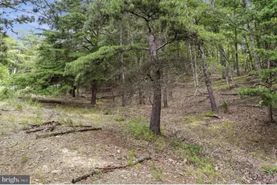 28 Ewing Estates, Baker, WV 26801 - Photo 3