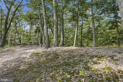 564 Highland Springs Rd, Moorefield, WV 26836 - Photo 5