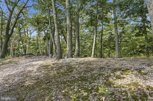 564 Highland Springs Rd, Moorefield, WV 26836 - Photo 5