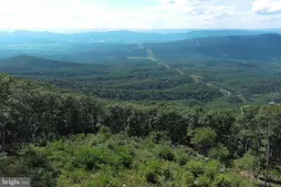 5496 S Branch Mountain Rd, Moorefield, WV 26836 - Photo 117
