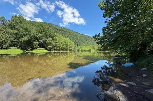 5496 S Branch Mountain Rd, Moorefield, WV 26836 - Photo 137