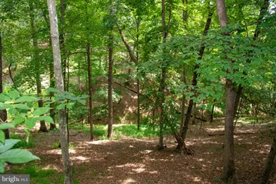 689 Snyders Ridge Road, Mathias, WV 26812 - Photo 89