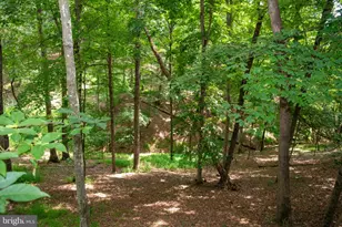 689 Snyders Ridge Rd, Mathias, WV 26812 - Photo 89
